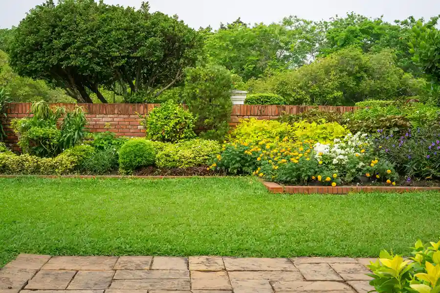 Front & Backyard Landscaping 