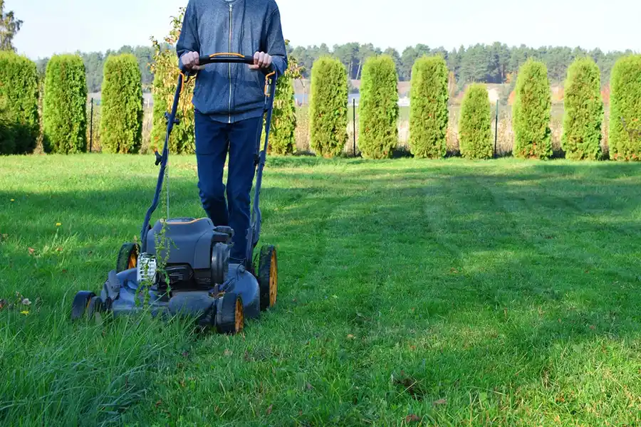 Efficient Lawn Mowing in Vista, CA