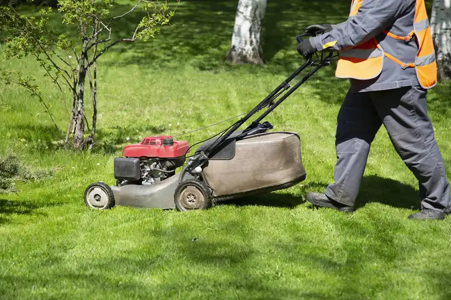 Reliable Lawn Mowing in Vista, CA