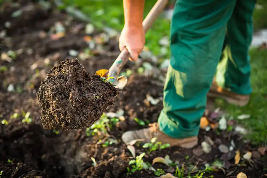 Reliable Mulching in Vista, CA