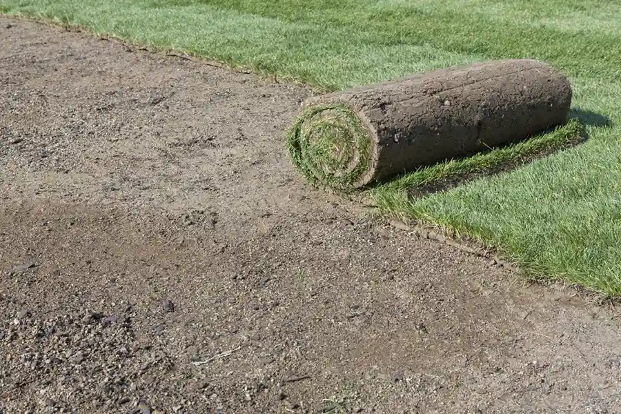 Efficient Sod Installation in Vista, CA