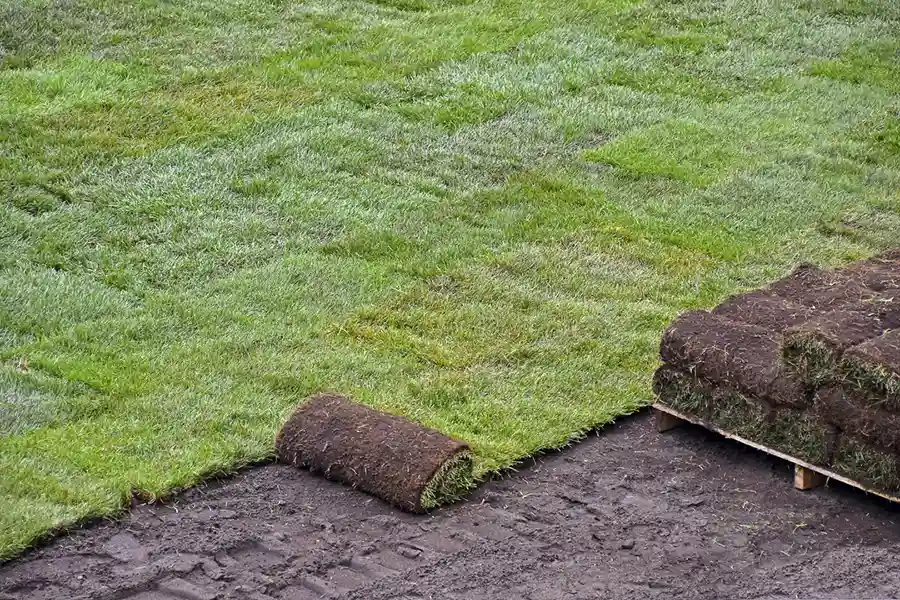 Best Sod Installation in Vista, CA