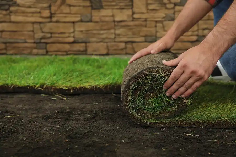 Reliable Sod Installation in Vista, CA