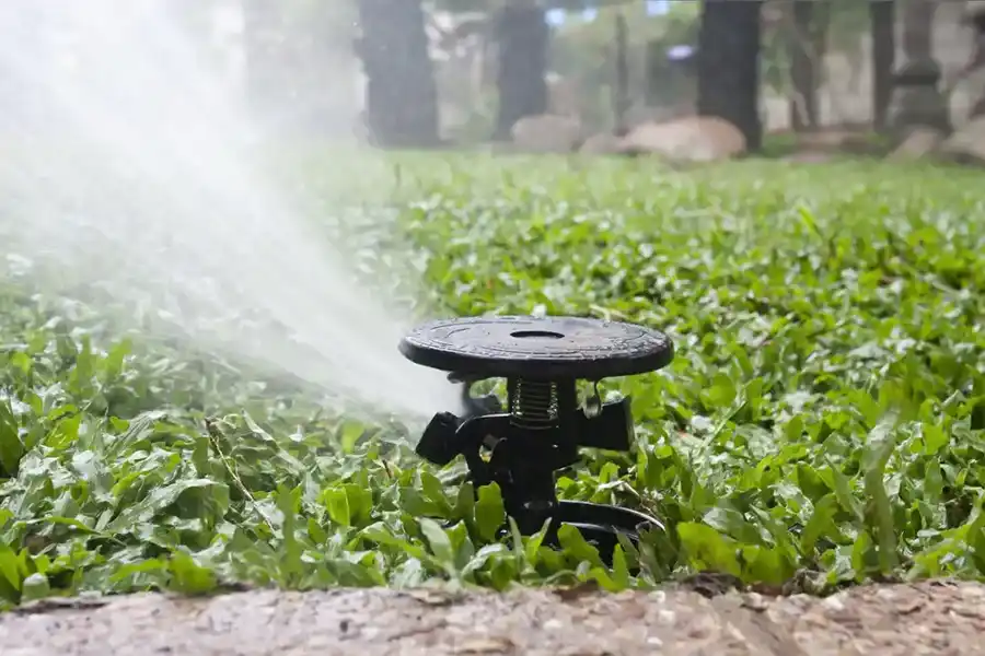 Yard Irrigation Installation