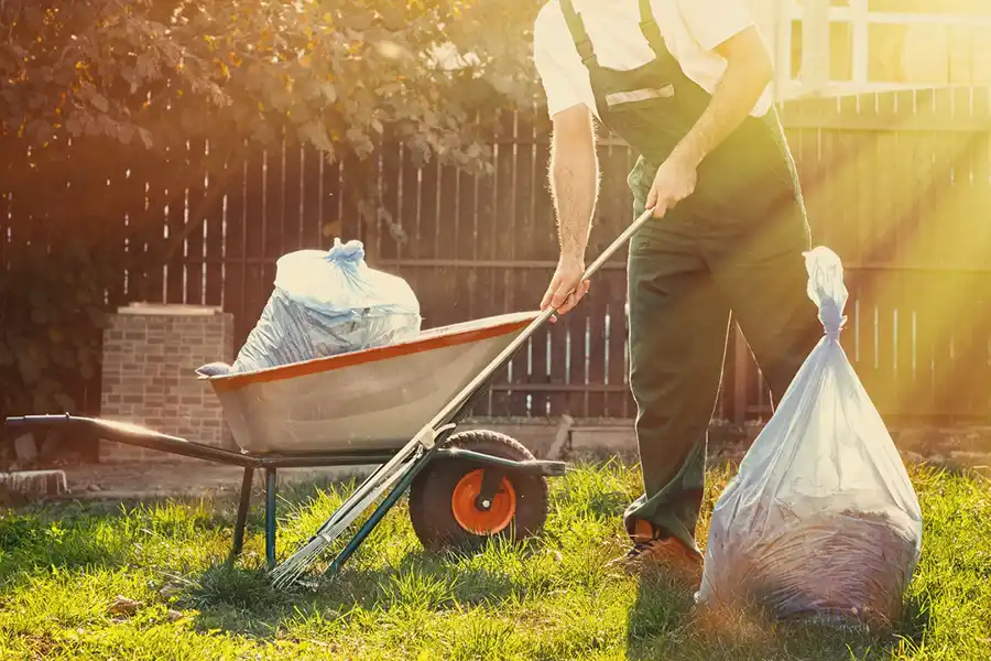 Best Yard cleanup in Vista, CA